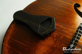 Arcus Archtop  - Organic Texture