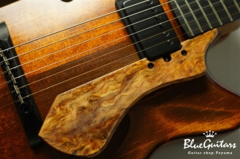 Arcus Archtop  - Organic Texture