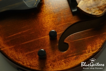 Arcus Archtop  - Organic Texture