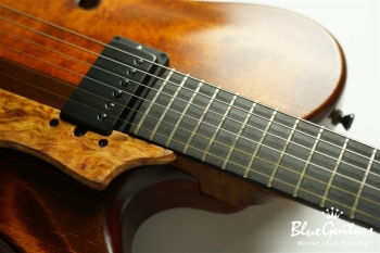 Arcus Archtop  - Organic Texture