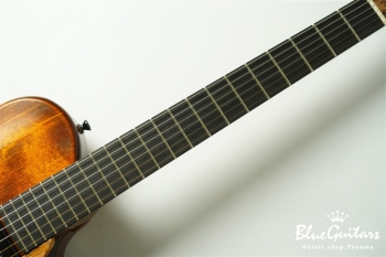 Arcus Archtop  - Organic Texture