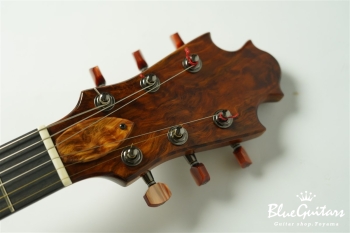 Arcus Archtop  - Organic Texture