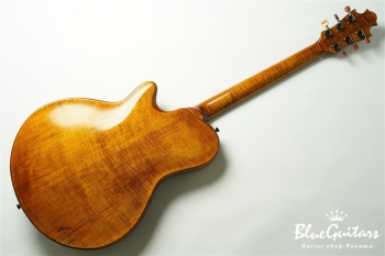 Arcus Archtop  - Organic Texture
