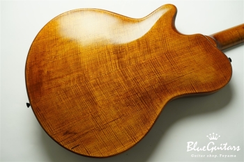 Arcus Archtop  - Organic Texture