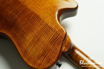 Arcus Archtop  - Organic Texture