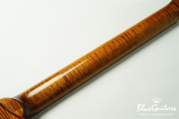 Arcus Archtop  - Organic Texture