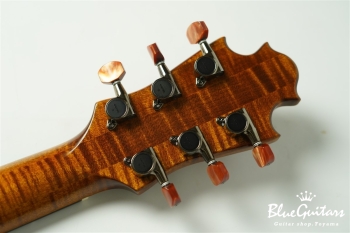 Arcus Archtop  - Organic Texture