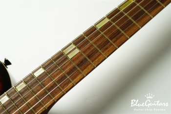 Japan Limited SC-Jr - Texas Gold