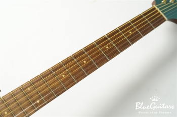 Newporter Player - Tidepool