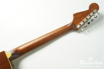 Newporter Player - Tidepool