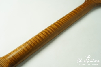 Model S. Lava #165 - Kenji Hiroi Signature Model