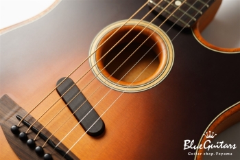 Acoustasonic Player Telecaster - Shadow Burst