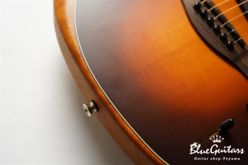 Acoustasonic Player Telecaster - Shadow Burst