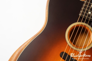 Acoustasonic Player Telecaster - Shadow Burst