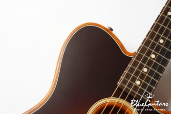 Acoustasonic Player Telecaster - Shadow Burst