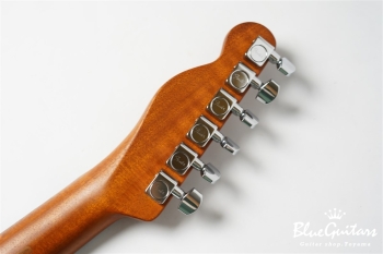 Acoustasonic Player Telecaster - Shadow Burst