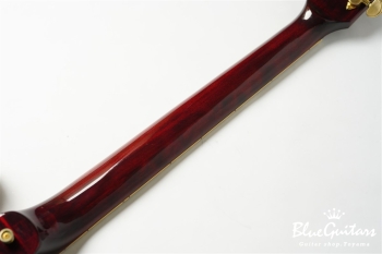 SA800R STP - Wine Red