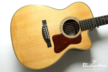 Blue Guitars Online Store