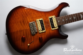 SE Custom 24 - Sunburst