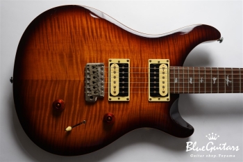 SE Custom 24 - Sunburst