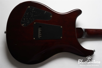 SE Custom 24 - Sunburst