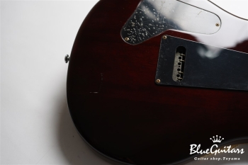 SE Custom 24 - Sunburst