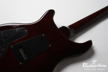 SE Custom 24 - Sunburst