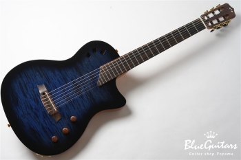 STAGE GUITAR LIMITED - Blue Burst