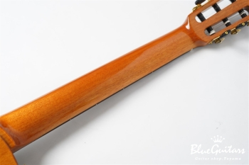 STAGE GUITAR LIMITED - Blue Burst