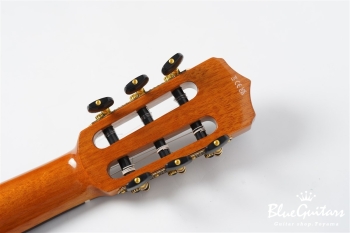 STAGE GUITAR LIMITED - Blue Burst