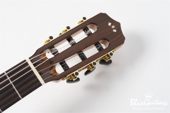 STAGE GUITAR LIMITED - Garnet