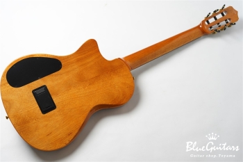 STAGE GUITAR LIMITED - Garnet