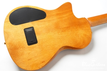 STAGE GUITAR LIMITED - Garnet