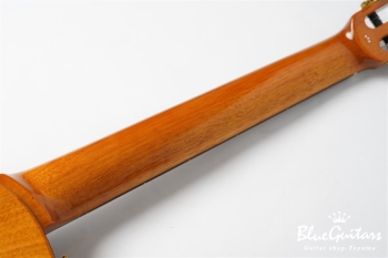 STAGE GUITAR LIMITED - Garnet