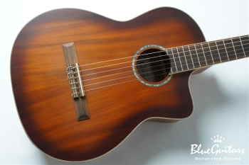 Blue Guitars Online Store