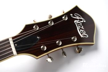 Ladybug-CB CM HB/SS - Vintage Amber