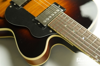 Ladybug-CB CM HB - Vintage Sunburst #RZ0688
