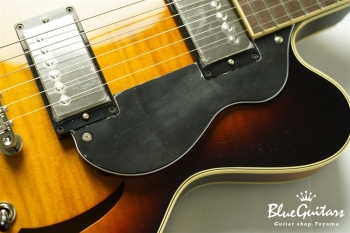 Ladybug-CB CM HB - Vintage Sunburst #RZ0688