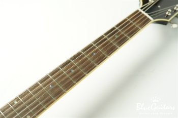 Ladybug-CB CM HB - Vintage Sunburst #RZ0688
