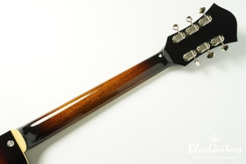 Ladybug-CB CM HB - Vintage Sunburst #RZ0688