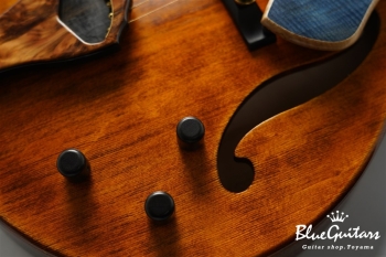 Arcus Archtop - Organic Texture × Indigo Blue