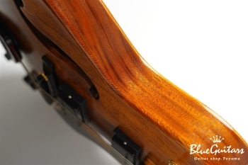 Arcus Archtop - Organic Texture × Indigo Blue