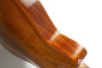 Arcus Archtop - Organic Texture × Indigo Blue