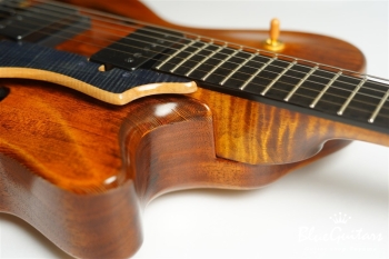 Arcus Archtop - Organic Texture × Indigo Blue