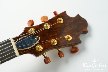 Arcus Archtop - Organic Texture × Indigo Blue