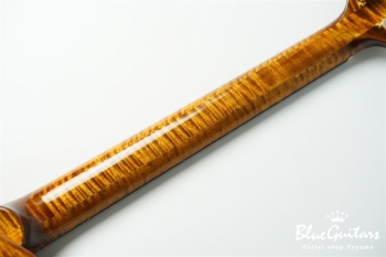 Arcus Archtop - Organic Texture × Indigo Blue