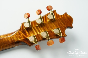 Arcus Archtop - Organic Texture × Indigo Blue