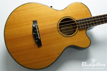 Blue Guitars Online Store