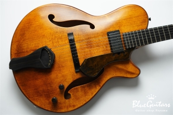 Arcus Thinbody Archtop - Organic Texture