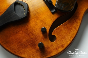 Arcus Thinbody Archtop - Organic Texture